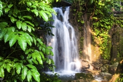 The new waterfall within the forest