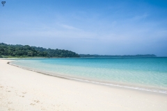 An overdose of the natural blue