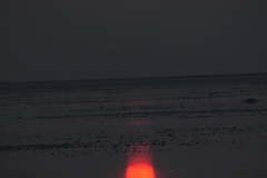 Sunset at the Salty Marsh of White Rann