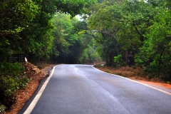 The roads... silky roads