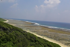 The view from the Lighthouse