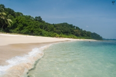 The clear enticing water of the sea
