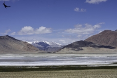 Tso kar