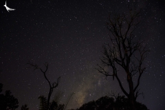The Milkyway