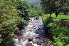 The lake waters moving through the irrigation canals