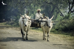 A village scene